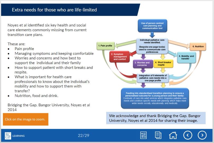 Screenshot of 'Extra needs for those who are life-limited' slide