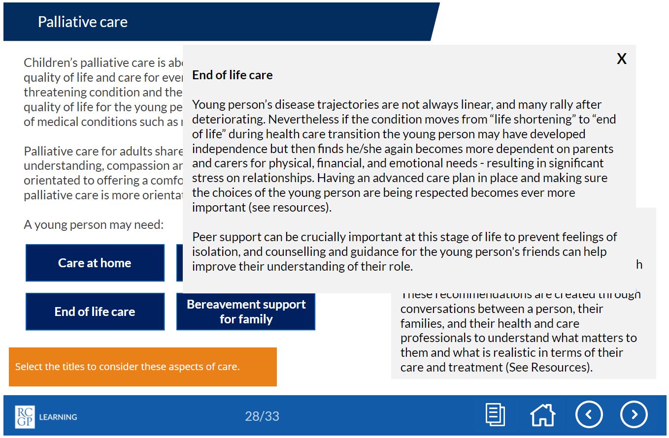 Screenshot of 'Palliative care' slide