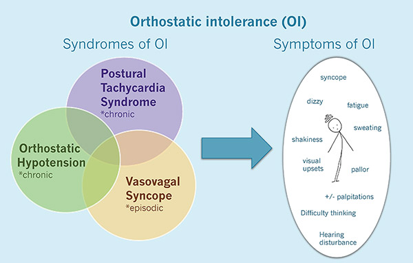 Orthostatic intolerance diagram