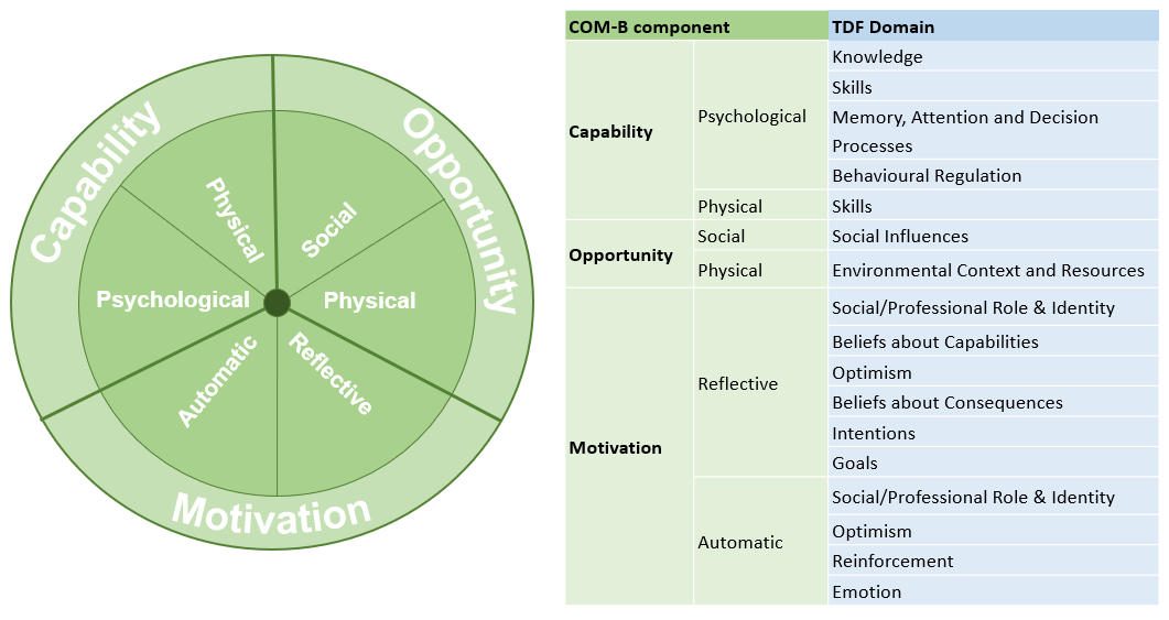 theoretical domain framework
