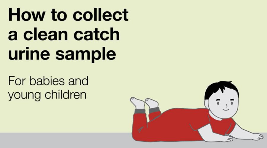 A graphic with a baby in a red onesie, with the text 'How to collect a clean catch urine sample'