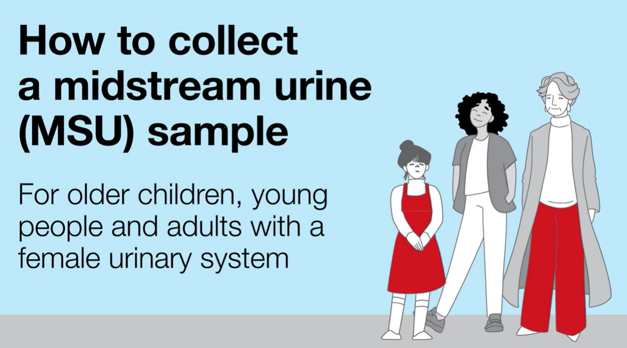 How to collect a mid-stream urine sample for females