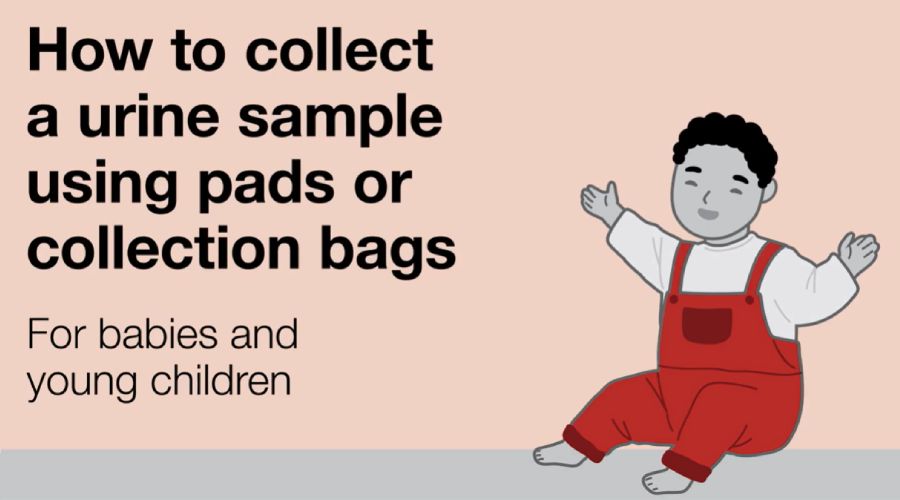 A graphic with a young child in a red dungarees, with the text 'How to collect a urine sample using pads or collection bags'