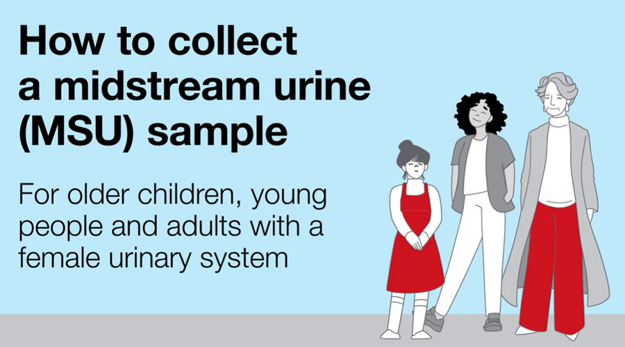 Blue image with the title 'How to collect a midstream urine sample'