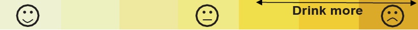 Colour strip showing shades pale white-yellow through to amber. There is a smiley face on the pale-white yellow, a neutral face in the middle, and a sad face and the words "Drink more" on the darker shades