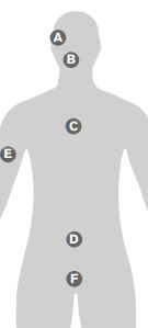 Labelled silhouette of a human body. The labels are: 1 for eyes, 2 for mouth and face, 3 for chest, 4 for gut, 5 for skin, 6 for genital and bladder area.