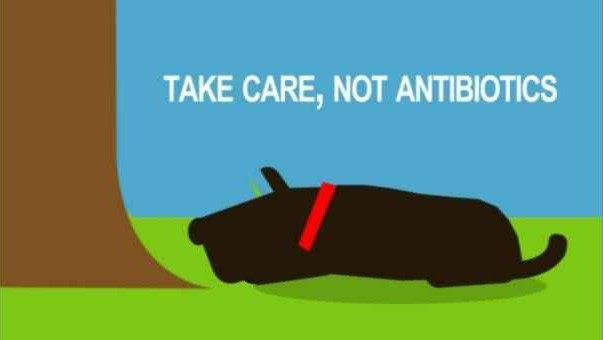 Animated black dog resting on grass next to a tree trunk