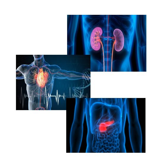 A collage of different three x-ray images of torsos, highlighting the different organs as shining brightly