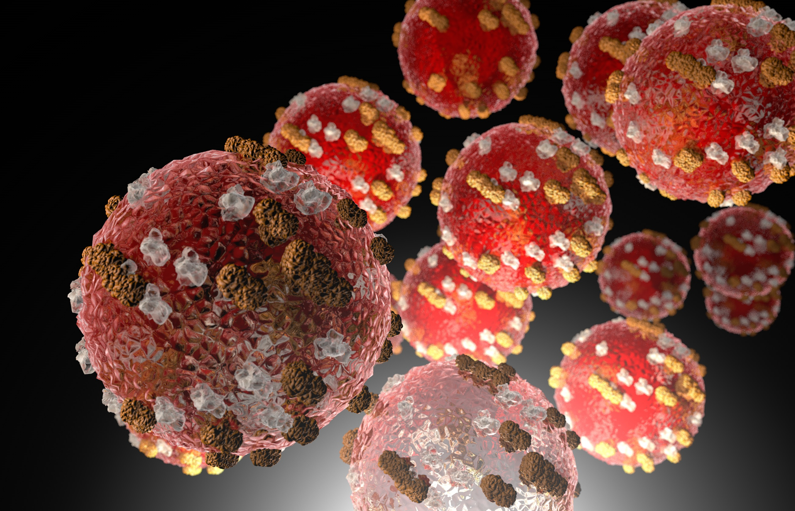 Zoom-in of Measles virus cells 