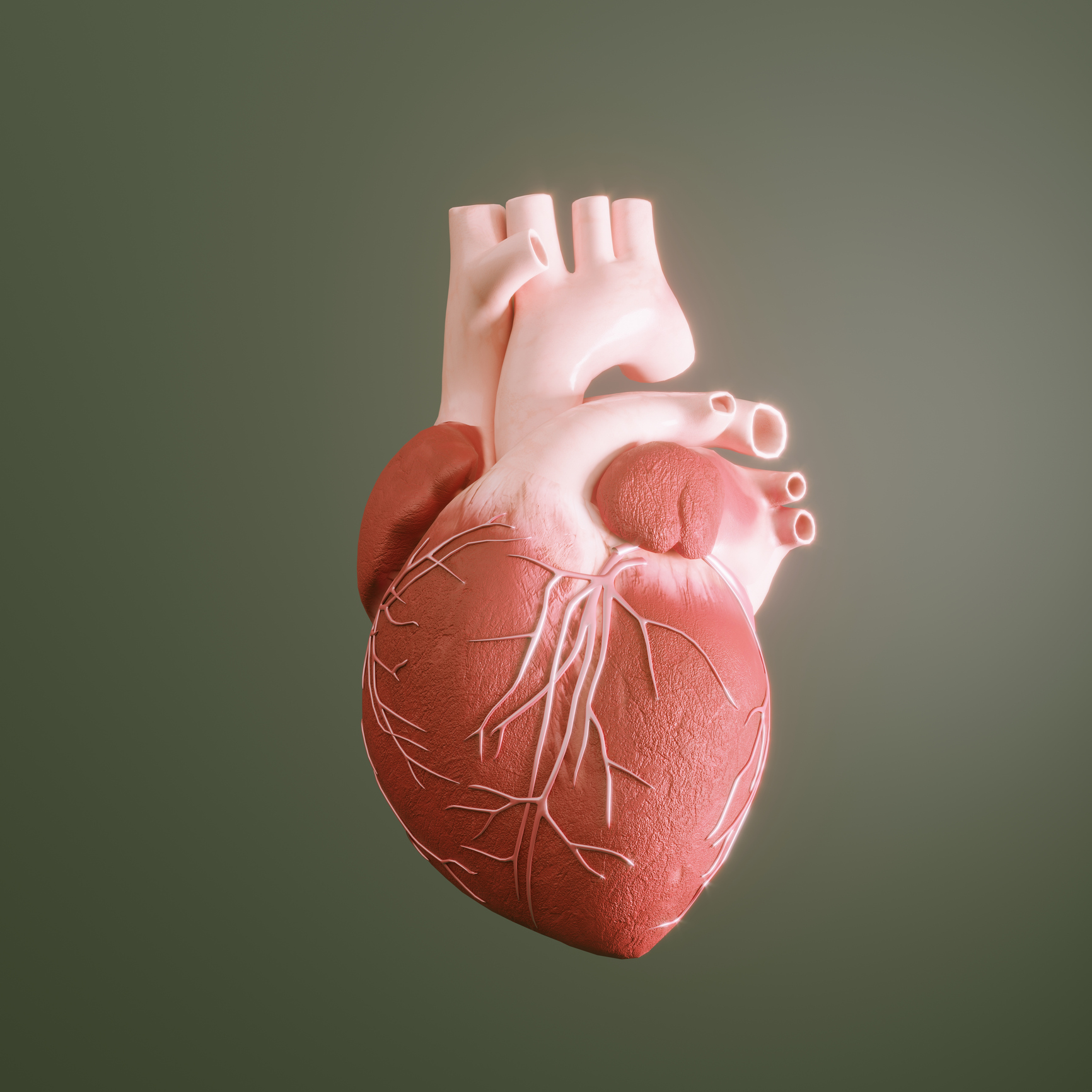 Cardiovascular Disease Risk Assessment Cardiovascular Disease Risk Assessment