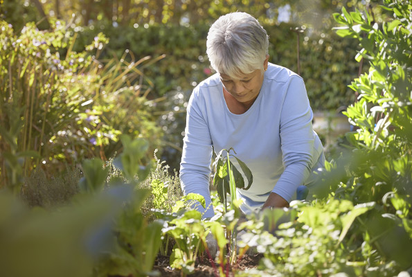 National roll-out of social prescribing in England's primary care system
